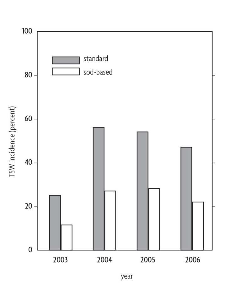 Figure 8.6 A bar graph comparing TSW incidence and the year for standard and sod based yields