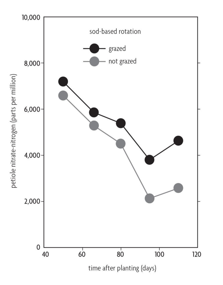 Figure 8.9 A line chart comparing petiole nitrate-nitrogen to time after planting on grazed and non-grazed sod
