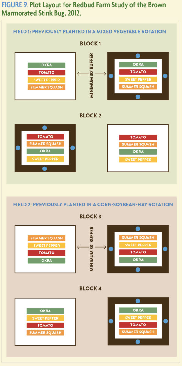 Figure 9 Different blocks for crop planting in different fields