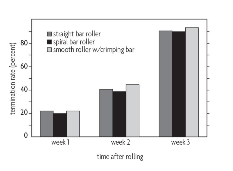 A chart comparing termination rate and time after rolling in three different weeks