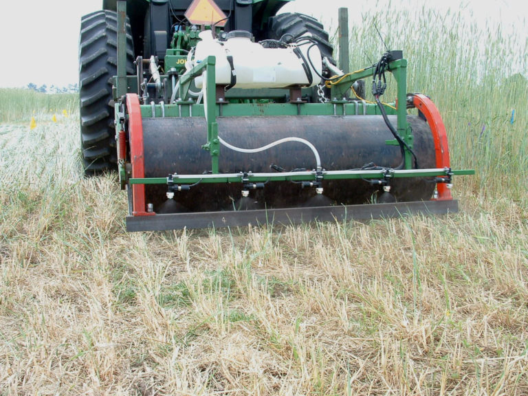 A tractor going over a field of thin sprouts