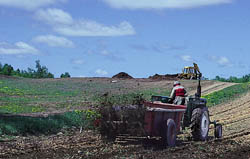 Compost, judiciously applied, can replace mineral fertilizers and feed beneficial soil organisms.