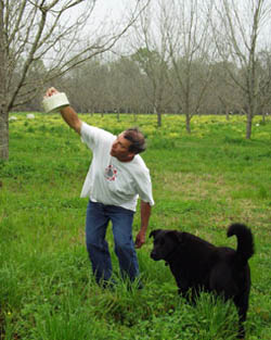 Frank Bibin of Quitman, Ga., checks a house he built in his pecan orchard to attract predatory wasps.