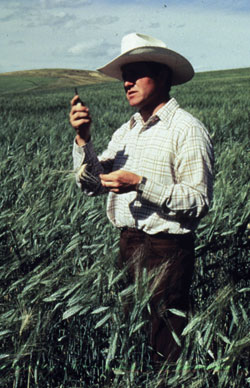Bob Quinn's last serious insect infestation was 15 years ago.