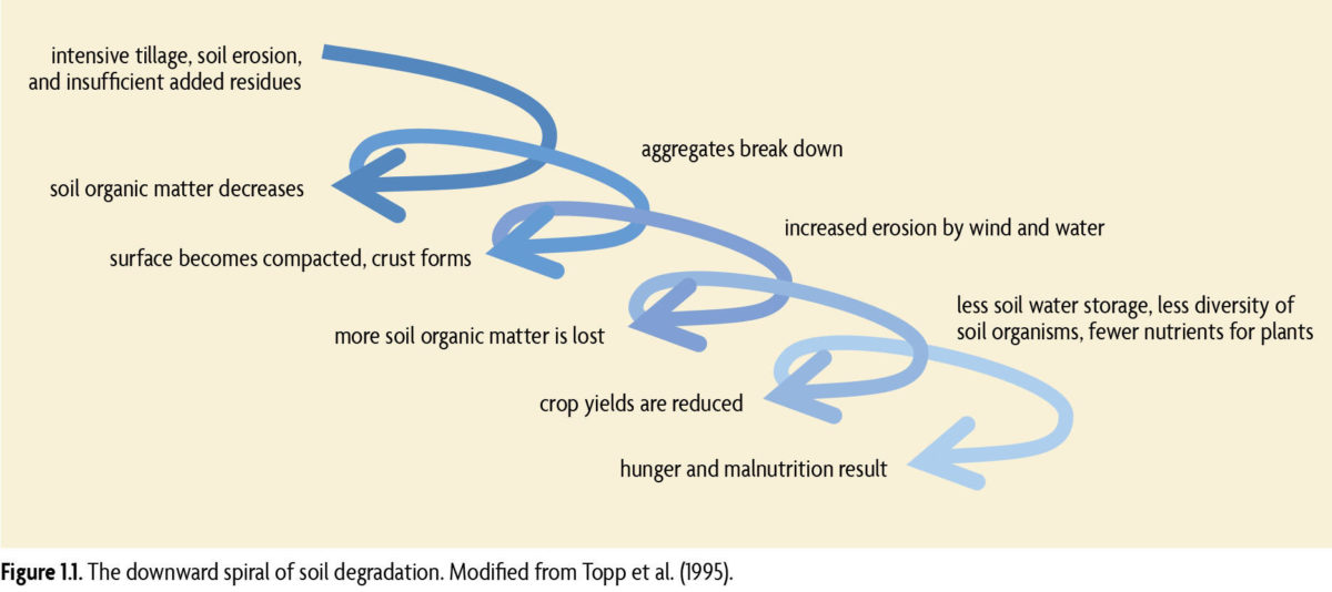 downward spiral of soil degradation