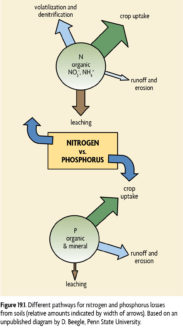 Management of Nitrogen and Phosphorus - SARE