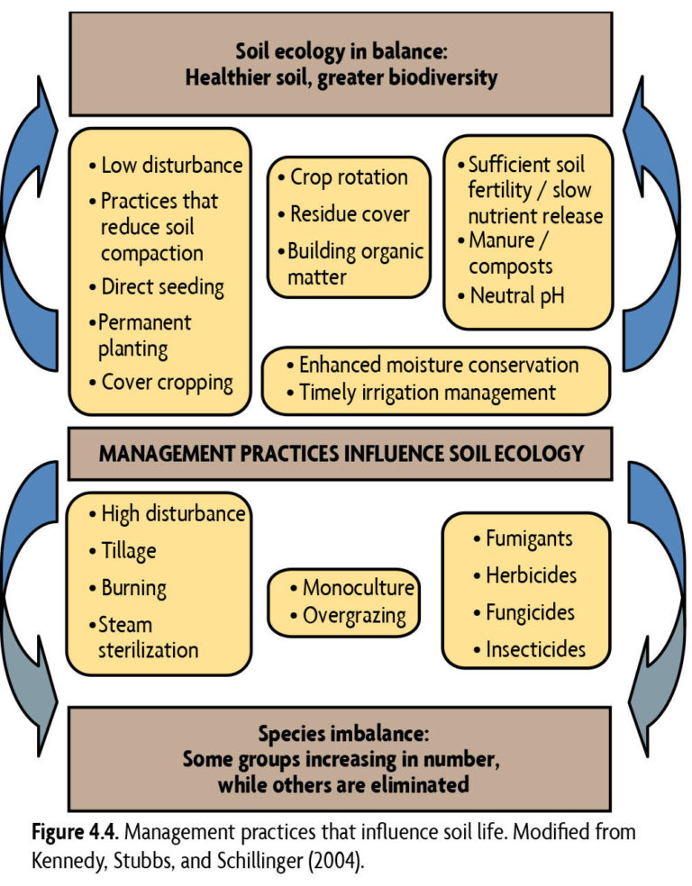 Management practices that influence soil life. Modified from Kennedy, Stubbs, and Schillinger (2004).