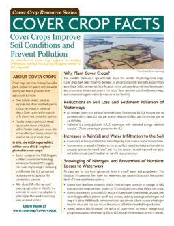 How Cover Cropping Improves Soil Naturally