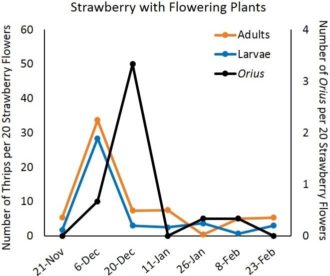 strawberry with flowering plants graph