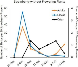 strawberry without flowering plants graph