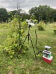 A device on a tripod next to a tree