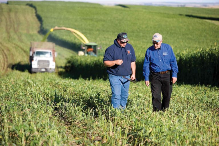 Two men walking and talking in a farm field Two men walking and talking in a farm field