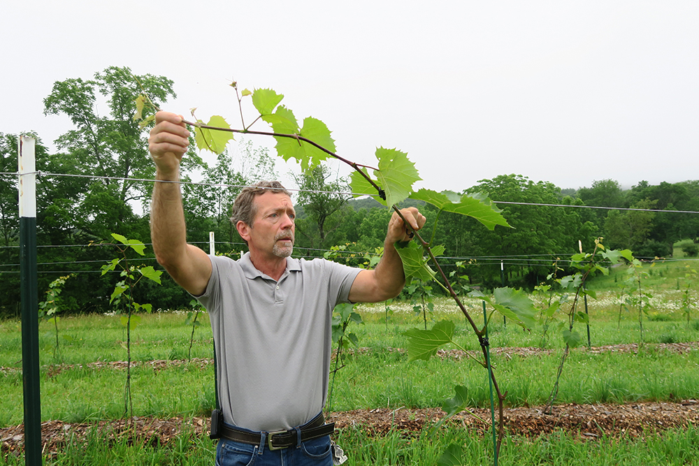 Man holding plant