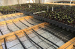Greenhouse Heating Mat