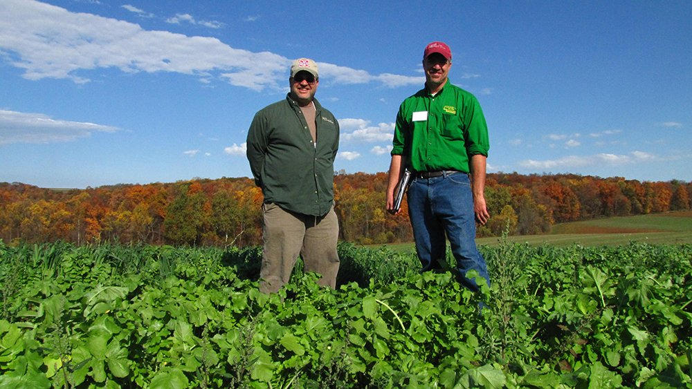 two brother standing in a field of cover crops