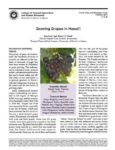 Growing-Grapes-in-Hawaii.jpg Growing Grapes in Hawaii with article underneath