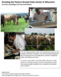Cover image of dairy grazing publication Cover image of dairy grazing publication