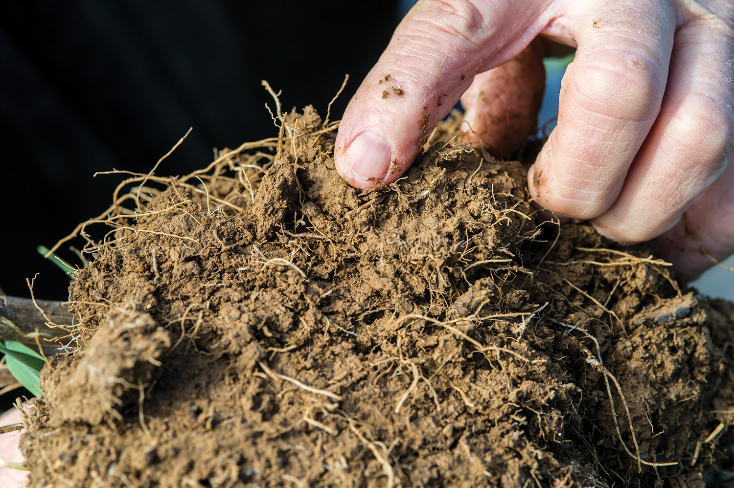 Soil management sare