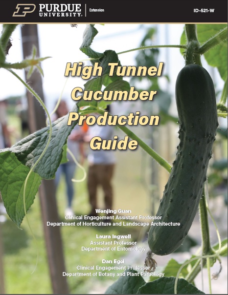 A cover of a publication about cucumber production in high tunnels with a picture of a cucumber growing on a vine