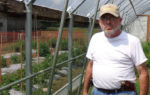 Steve Carpenter standing in his high tunnel