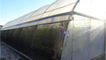 high tunnel with pest exclusion netting