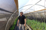 Farmer Will Mastin standing in his high tunnel. Farmer Will Mastin standing in his high tunnel.