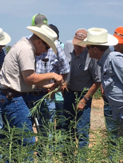 Cover crop farm tour