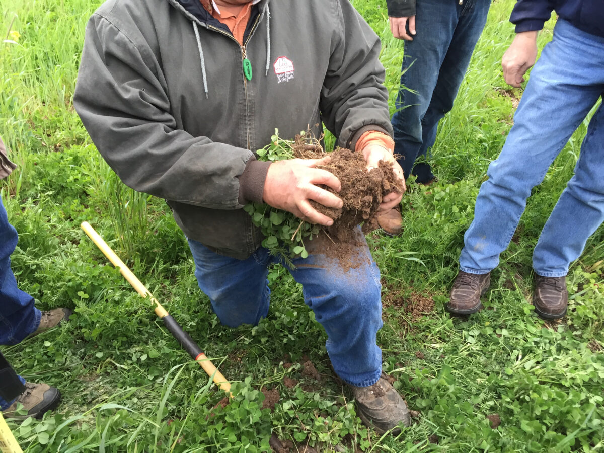 A person holding soil with others looking at its structure