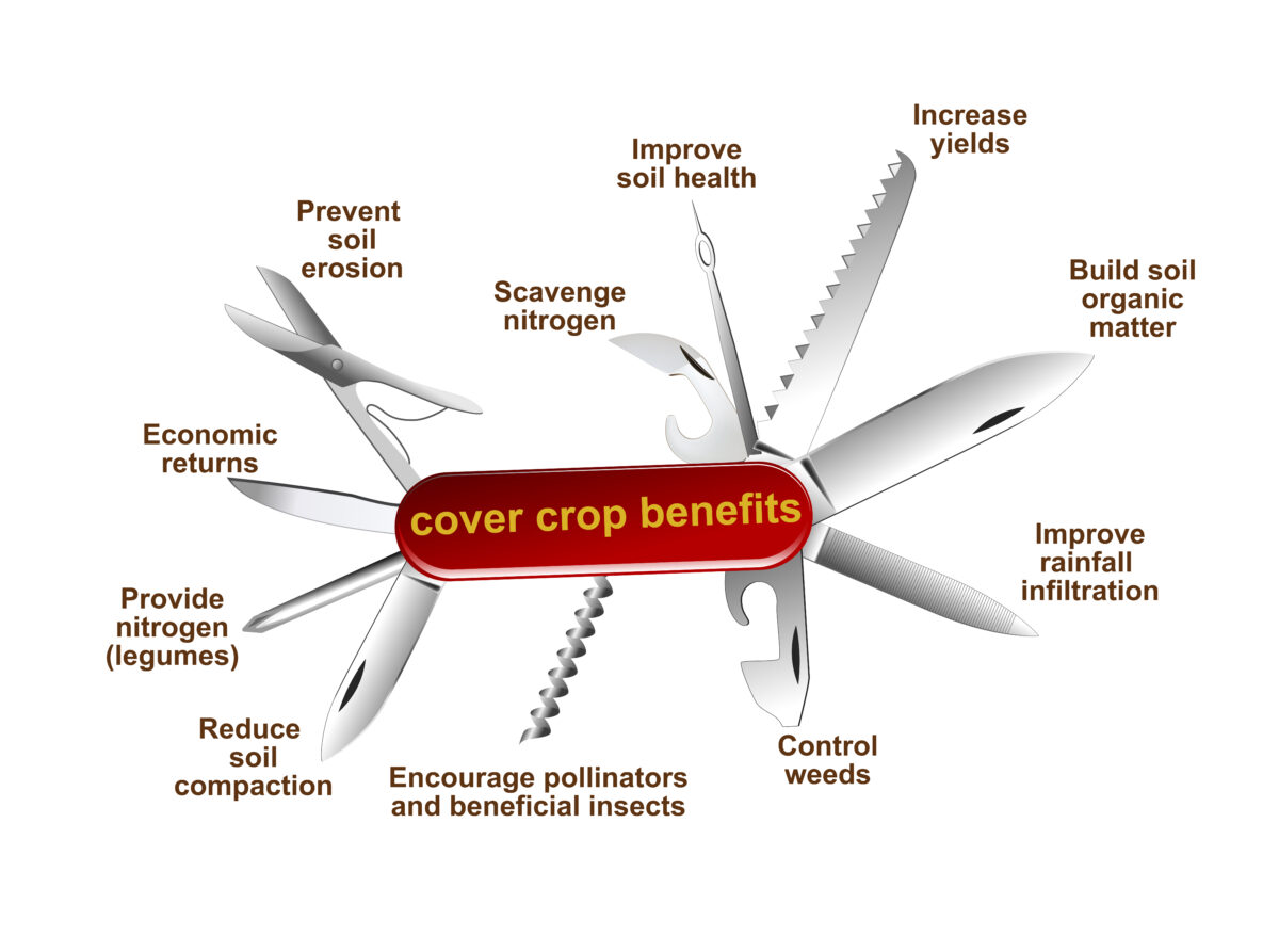 A figure of a swiss army knife, where each tool represents a benefit of cover crops. The listed benefits are: prevent soil erosion, scavenge nitrogen, improve soil health, increase yields, build soil organic matter, improve rainfall infiltration, control weeds, encourage pollinators and beneficial insects, reduce soil compaction, provide nitrogen (legumes), and economic returns.