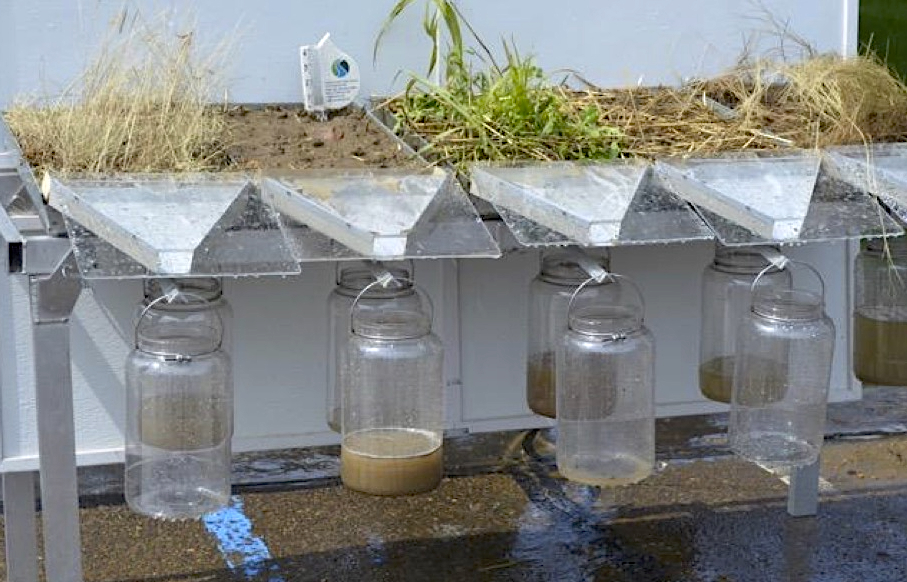 A rainfall simulator consists of 5 trays. Each tray is filled with soil from different cropping systems and they receive simulated rainfall. Some trays have crop residue or active cover crop growth, whereas the second from the left is bare soil. Each tray also has an angled drainage system to simulate field runoff, which empties water into a large glass jar. Each tray also has a jar directly below it, to simulate water that infiltrates down. The runoff jar connected to the tray of bare soil has muddy water in it. For the trays that represent various cover cropping systems, the runoff jars contain clear water or minimal water, whereas the infilatration jars are more full of water. The tray with active cover crop growth has the most infiltration, and almost no runoff.