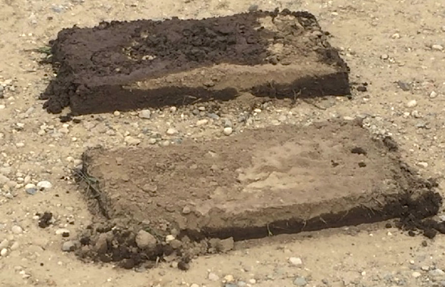 The soil from two different trays in a rainfall simulator have been flipped over and put on the ground. They are a couple inches deep or so. The soil from the no-till cover crop tray is mostly soaked through. The soil from the tillage tray is wet in its top half but its bottom half is entirely dry.