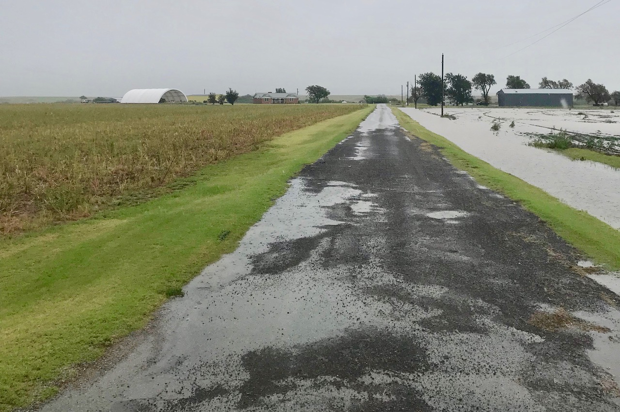 Gray road with grass on both sides