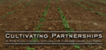 In-Row Mechanical Weed Control Options for Farmers Large and Small cover In-Row Mechanical Weed Control Options for Farmers Large and Small cover