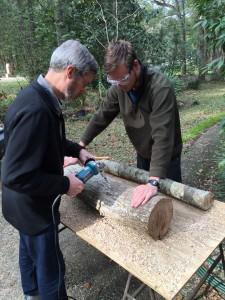 Inoculating mushrooms on a wooden table outside