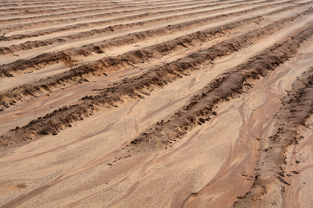 Bare soil is subject to erosion by water and wind 