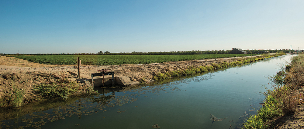 A river in between two fields