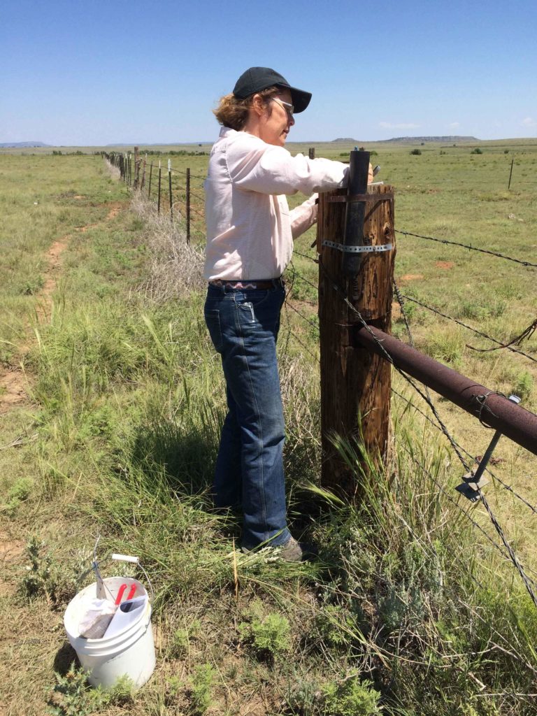 Woman standing at a fence post Woman standing at a fence post