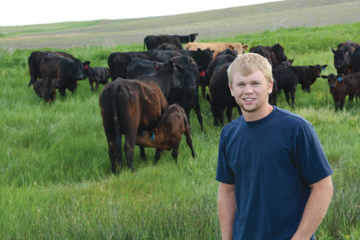 Farmer with cows in the background Farmer with cows in the background