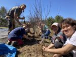 Students planting trees in a field