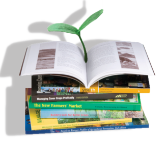 A stack of books with a sprout coming out of an opened book at the top.