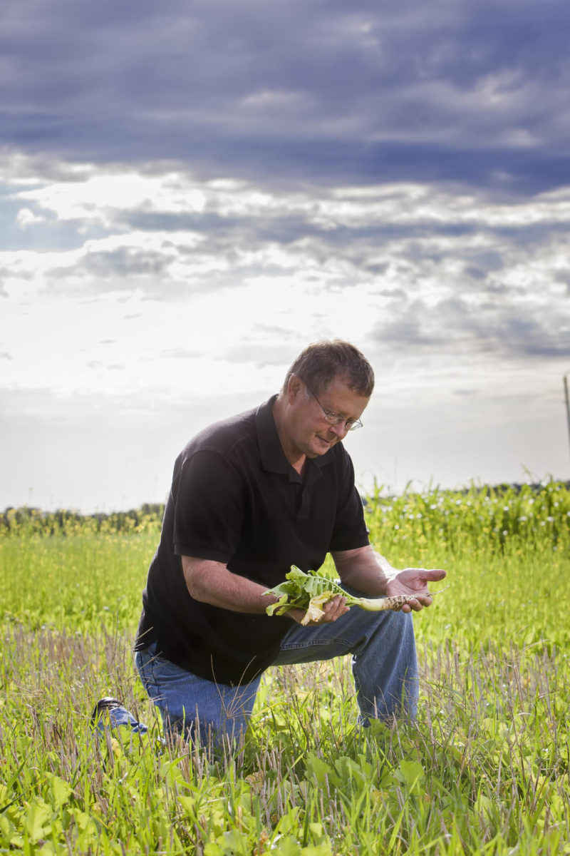 man kneeing in a field looking at a crop in his hand