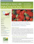 download Using Low Tunnels to Extend the Growing Season for Organic Strawberries in Alabama fact sheet in pdf format