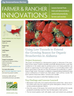 download Using Low Tunnels to Extend the Growing Season for Organic Strawberries in Alabama fact sheet in pdf format