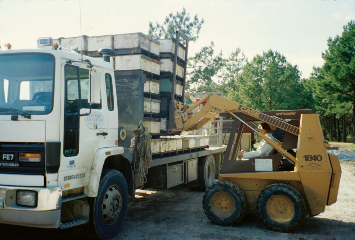 Honey bee hives being loaded onto a truck.