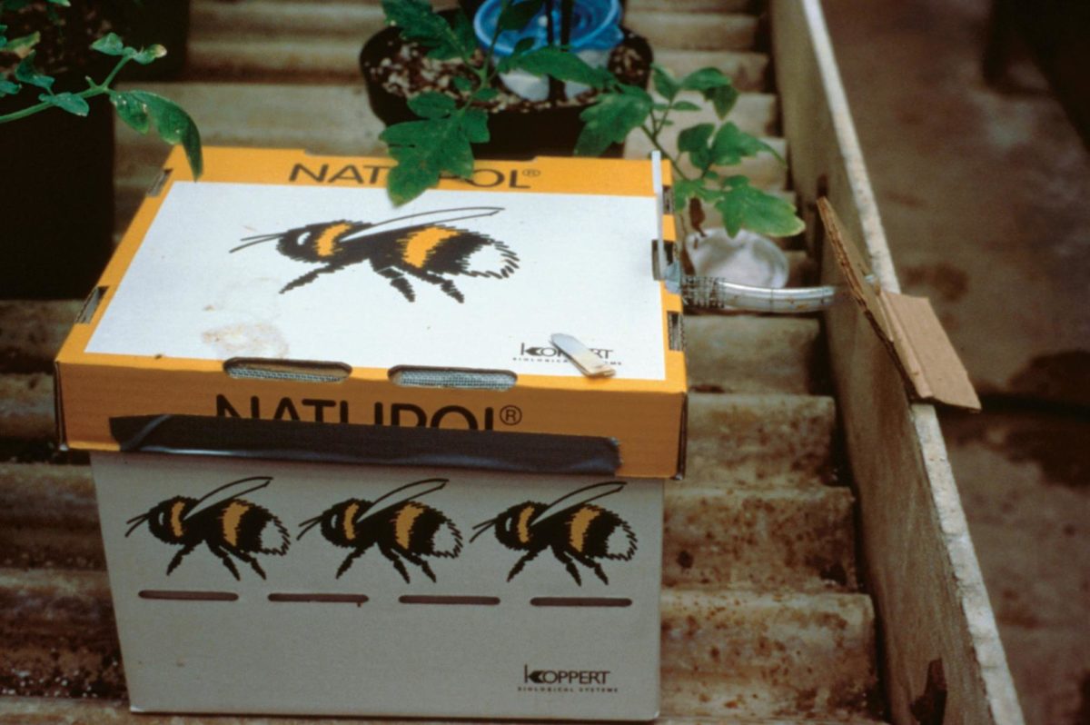 Bumble bee hives produced by commercial insectaries.