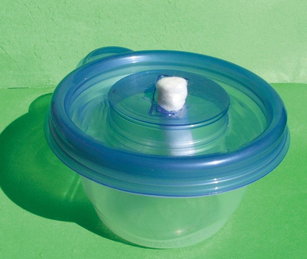 A simple nectar feeder consisting of a dental wick and plastic container.