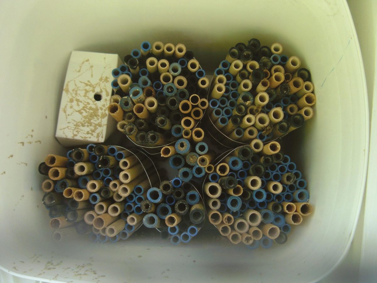 Emergence box system.