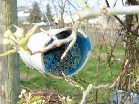 A small nest hanging from a trellis wire.
