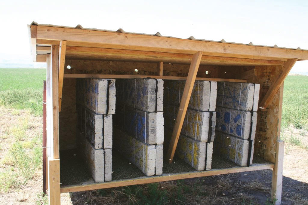 Shelter design using dimensional lumber, plywood, and corrugated metal.