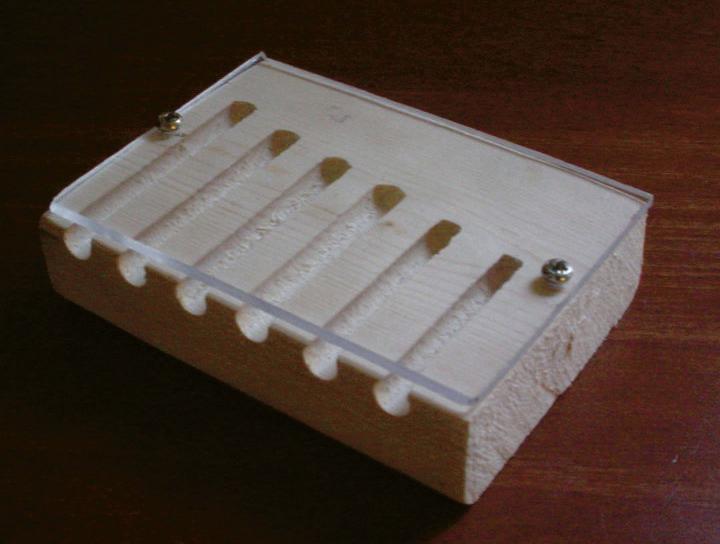 An observation nest for cavity-nesting bees.